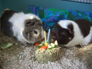 Victor celbrates his second birthday with Hugo (the candles are only there for the picture)